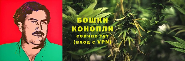 PSILOCYBIN Баксан