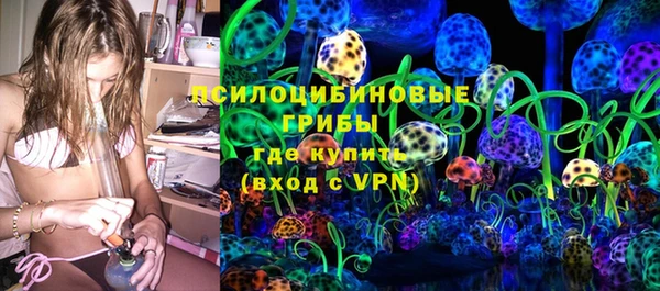 PSILOCYBIN Баксан